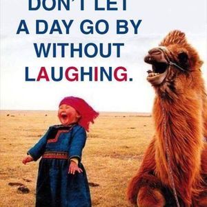 Meet your Posher, Carol